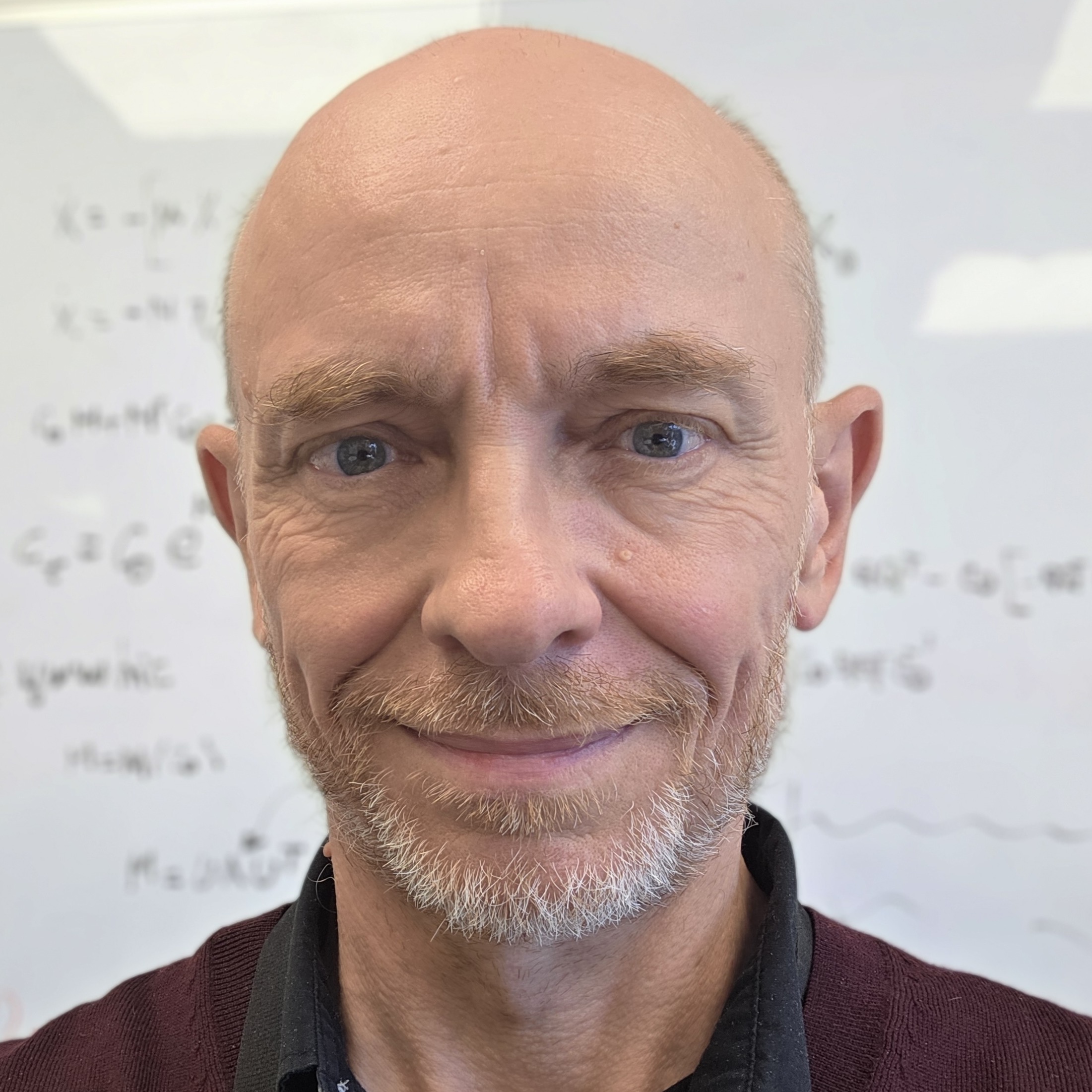 Guillermo Cecchi, Ph.D.